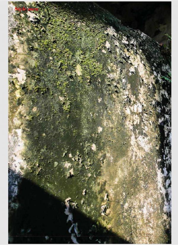 Style-Men-53---Repair-workers---Harry